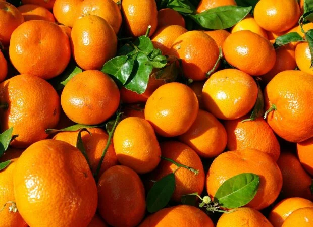 Купуємо мандарини оптом! Київ та область - фото № 1