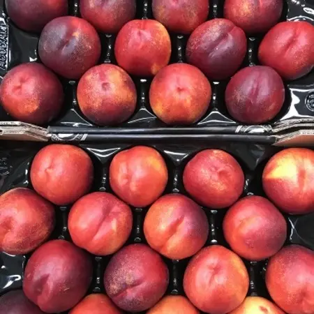 Продаж нектаринів з Іспанії - фото № 1
