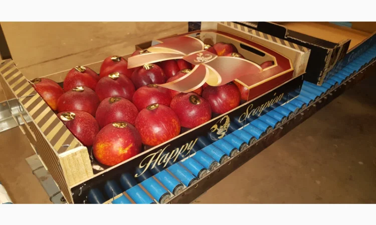 Продажа нектаринов из Испании - фото № 2