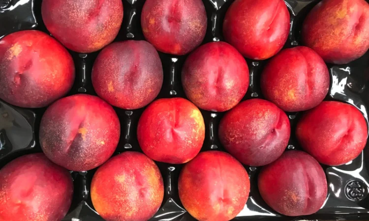 Продажа нектаринов из Испании - фото № 4