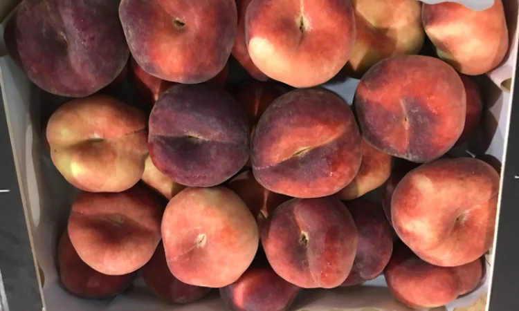 Продаем плоский персик из Испании - фото № 10