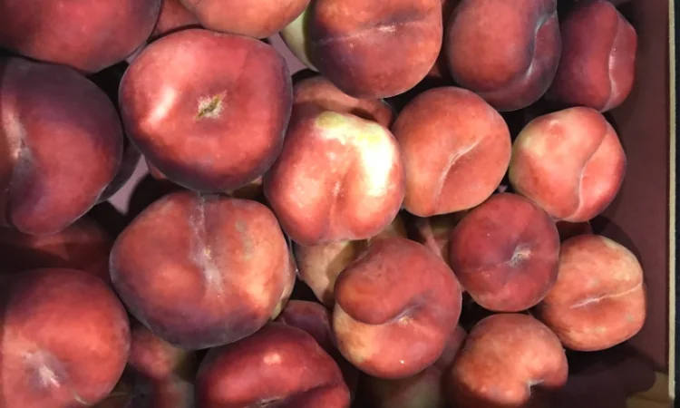 Продаем плоский персик из Испании - фото № 7