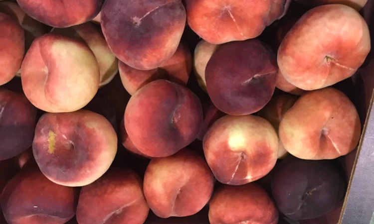 Продаем плоский персик из Испании - фото № 6