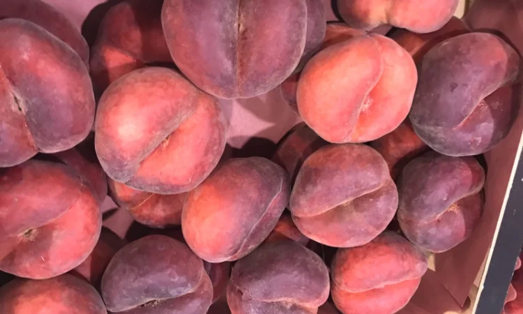 Продаем плоский персик из Испании - фото № 5