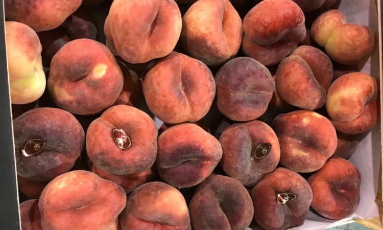 Продаем плоский персик из Испании - фото № 13