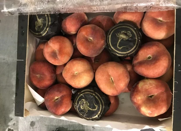 Продаем плоский персик из Испании - фото № 12