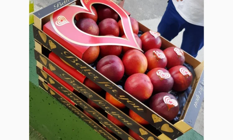 Свежие персики из Испании - фото № 10