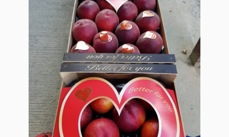 Свежие персики из Испании - фото № 12