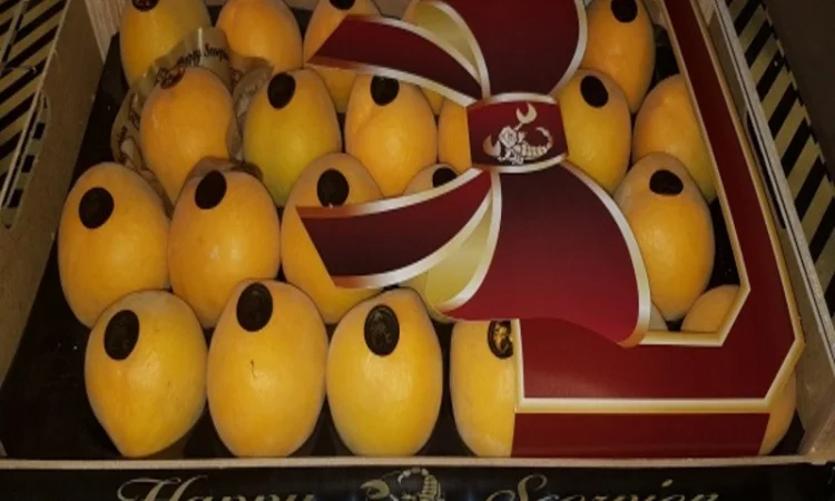 Свежие персики из Испании - фото № 4