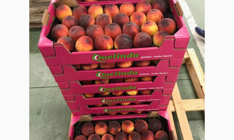 Свежие персики из Испании - фото № 5