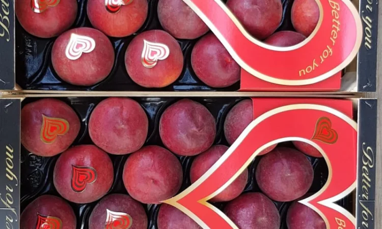 Свежие персики из Испании - фото № 7