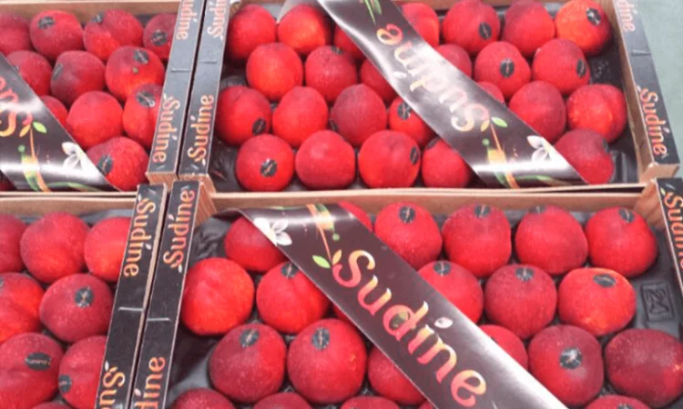 Свежие персики из Испании - фото № 8