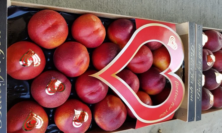 Свежие персики из Испании - фото № 9