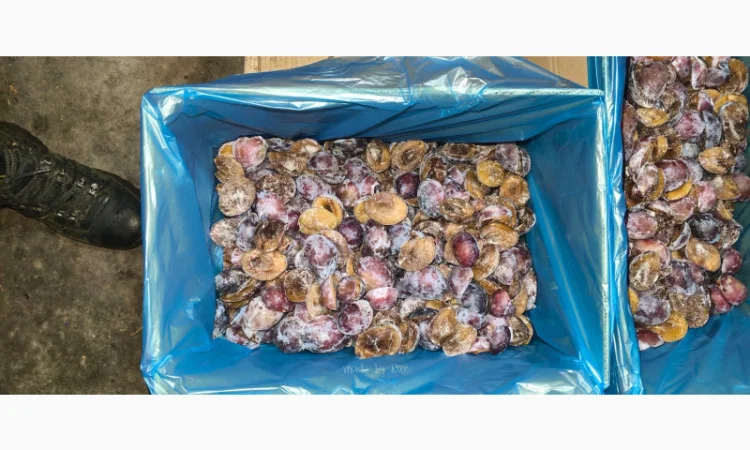 Слива без косточки замороженная - фото № 1