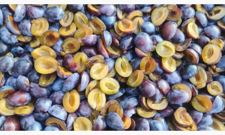 Заморожена слива без кісточки - фото № 1