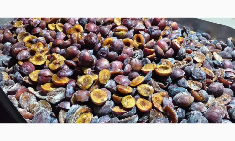 Слива без кісточок заморожена, упаковка 10 кг - фото № 1