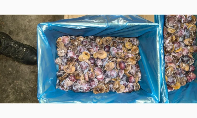 Слива без кісточок заморожена, упаковка 10 кг - фото № 3