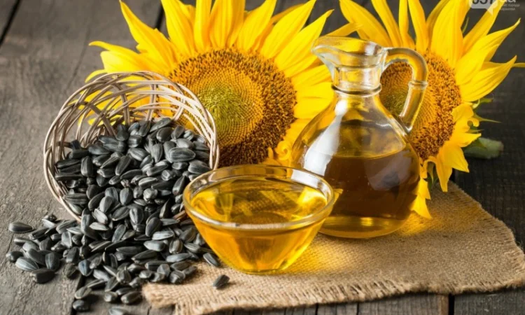 Оптом олія соняшникова - фото № 1