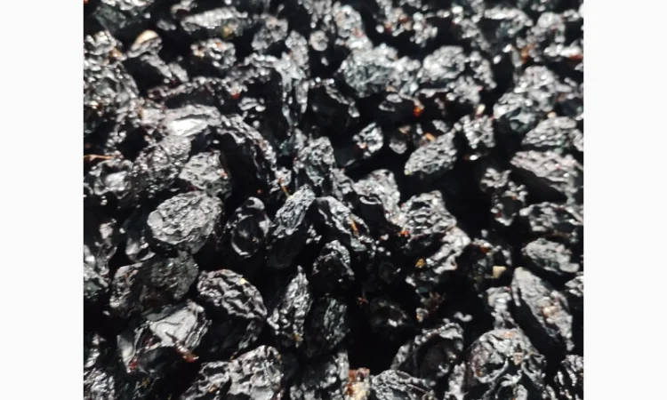 Продается слива бездимная сорта Стенлей и Анна Шпет - фото № 2