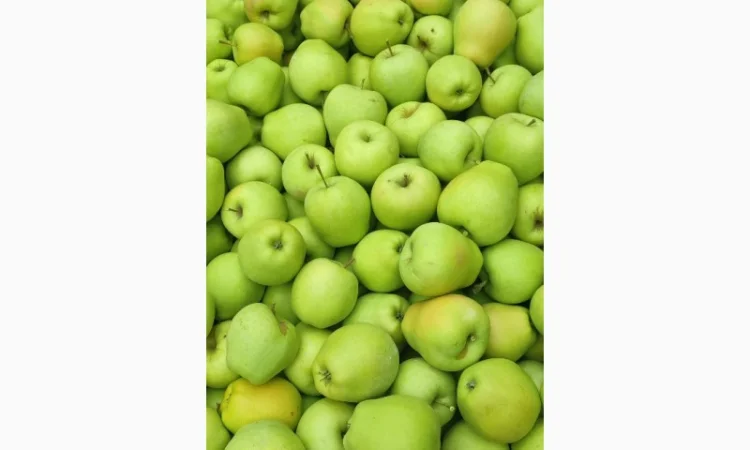 Продам яблука - фото № 11