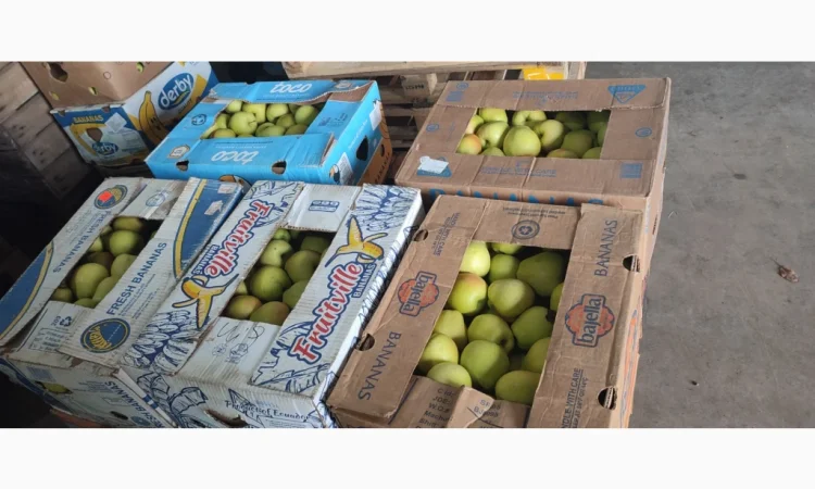 Продам яблука - фото № 5