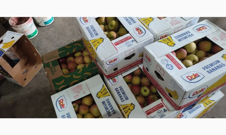 Продам яблоки - фото № 15