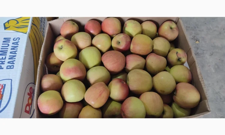 Продам яблоки - фото № 16