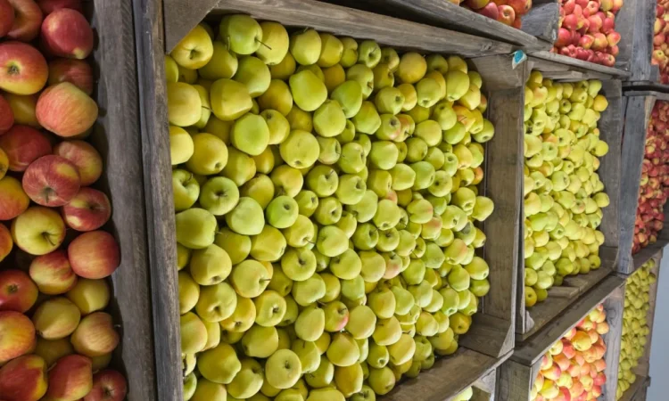 Продам яблука Екстра класу - фото № 1