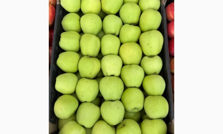 Продам яблука - фото № 3