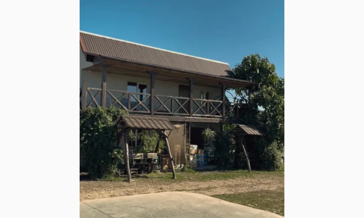 Продам яблуневий сад - фото № 4