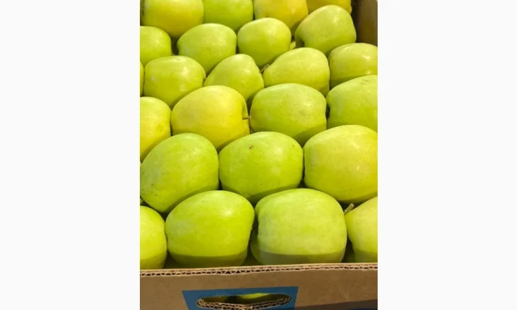 Продам яблука - фото № 1