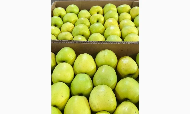 Продам яблука - фото № 2