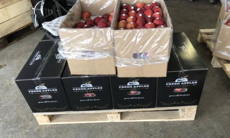 Продам бушели для яблок от фирмы поставщика - фото № 1
