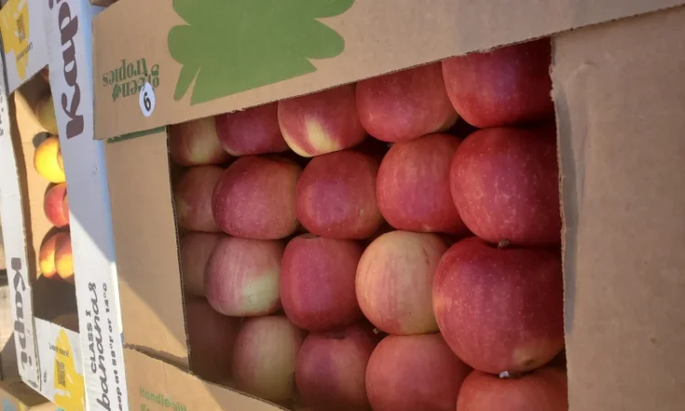 Продам яблоки из холодильника газоване - фото № 1