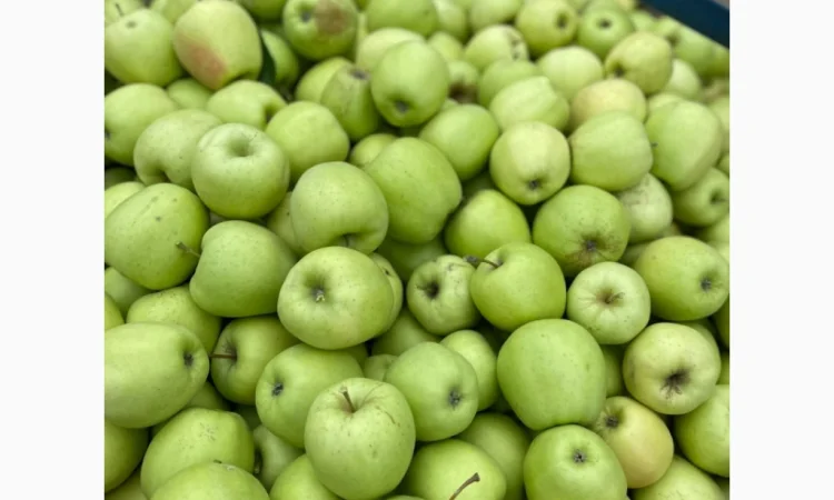 Продам яблука - фото № 2