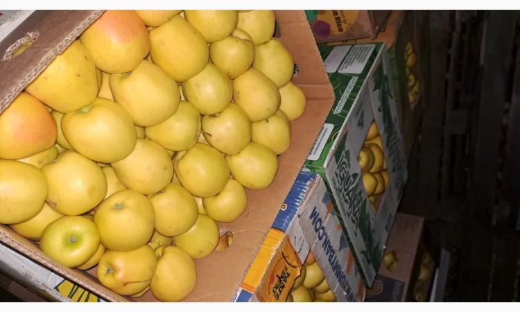 Продажа яблок разных сортов - фото № 8