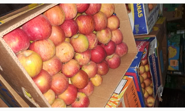 Продажа яблок разных сортов - фото № 9