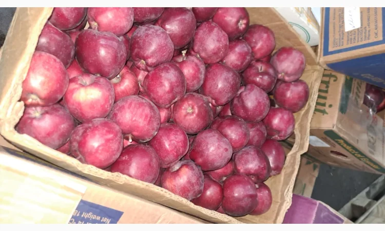 Продажа яблок разных сортов - фото № 12