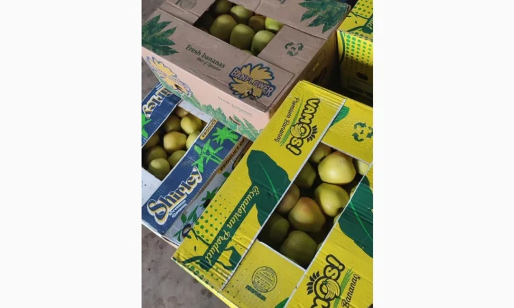 Продам Голден - фото № 5