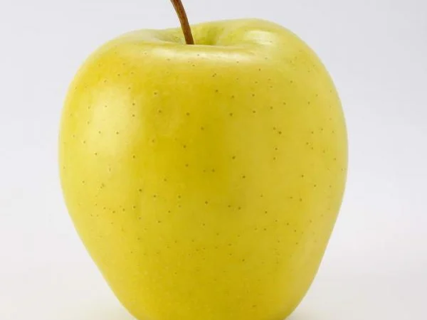 Продаються яблука оптом від виробника. Великий вибір сортів - фото № 2