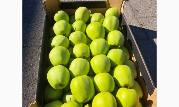 Продаются яблоки из Польши - фото № 2