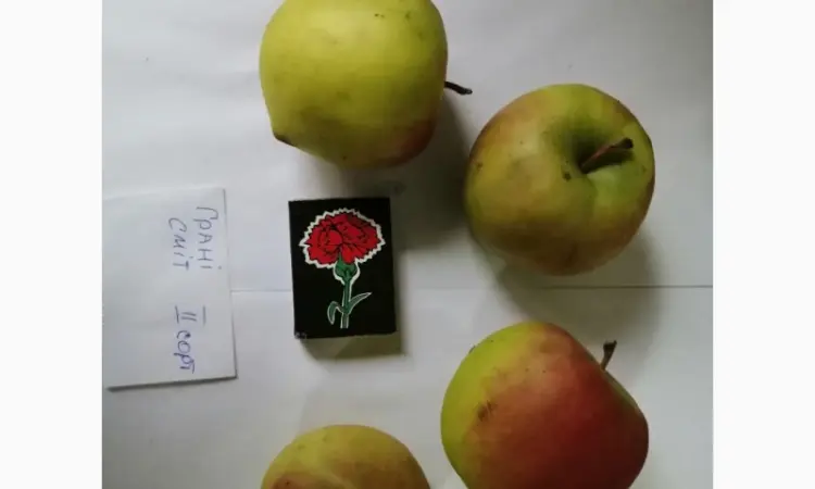 Срочно продам яблоки разных сортов и сок натуральнный от производителя - фото № 2