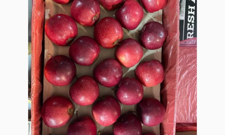 Яблука оптом - більше 15 сортів - фото № 4