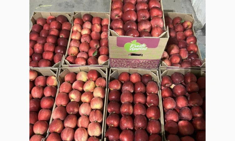 Яблука оптом - більше 15 сортів - фото № 6