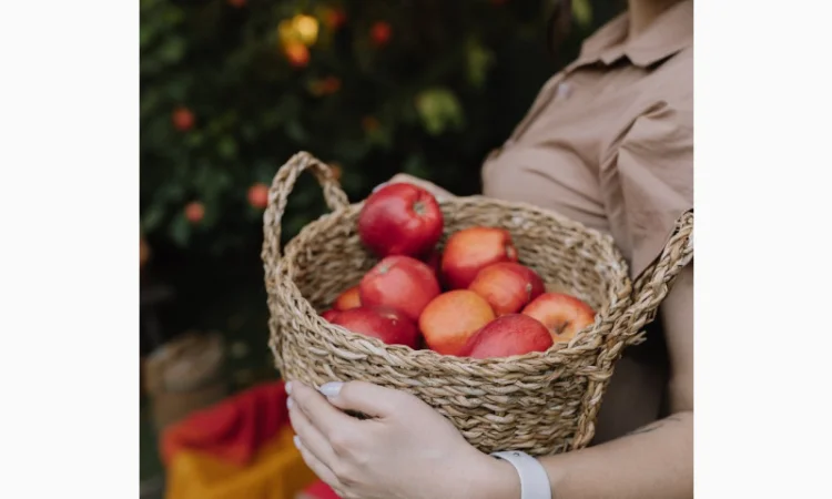 Куплю яблоки оптом - фото № 1