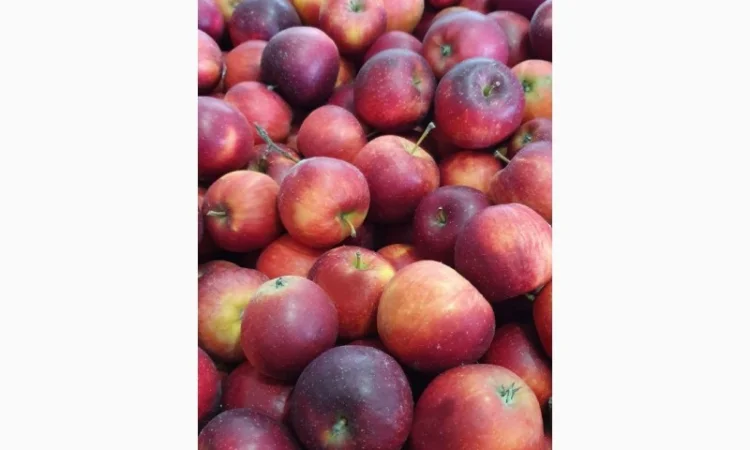 Породам яблука фрешовані з холодильника - фото № 3