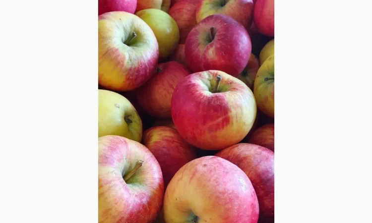 Породам яблука фрешовані з холодильника - фото № 1