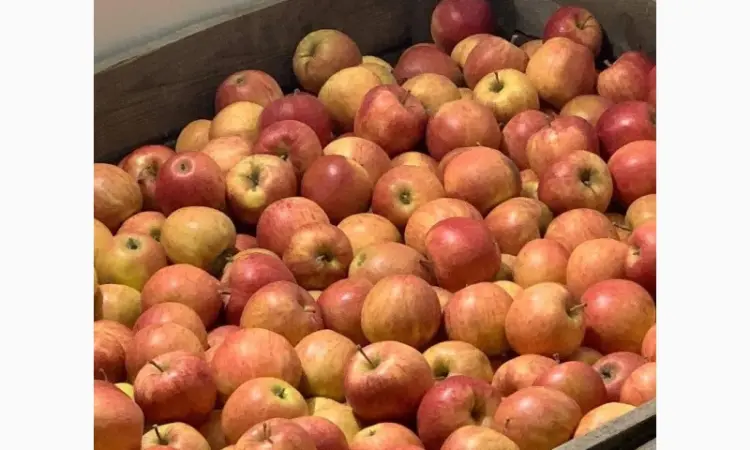 Продажа яблок оптом из холодильника Smart Fresh - фото № 6