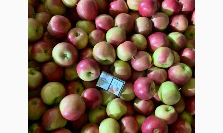 Продажа яблок оптом из холодильника Smart Fresh - фото № 7