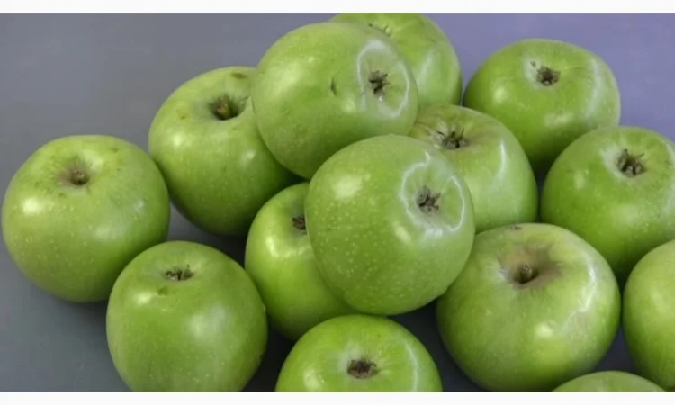 Зелене яблуко на переробку - фото № 1